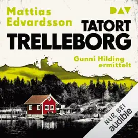 Tatort Trelleborg. Gunni Hilding ermittelt: Die Schonen-Morde, Band 1