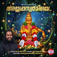 Ayyappa Swamiye - Single - Sannidhanandan & N. Desikan