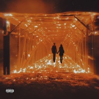 Burnt bridges (feat. Cosmiic) - Single - Xavy