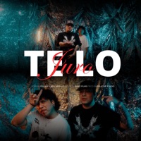 TE LO JURO (feat. Ari Carrillo & JupaBeats) - Single - Felikings