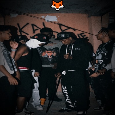 Tf - Single