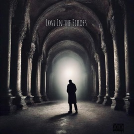 Lost In The Echoes (Electronic Mix) Zaar