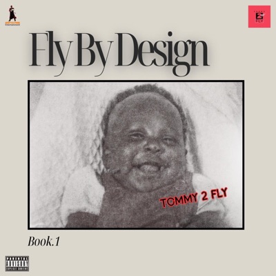 Fly By Design Book 1