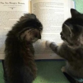 Every Day Is Hell! traumadoll & Clover!