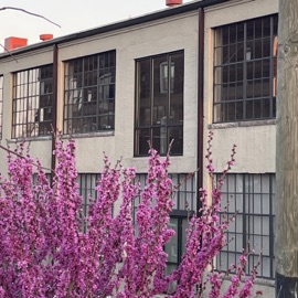 Wishing Well Loomaine