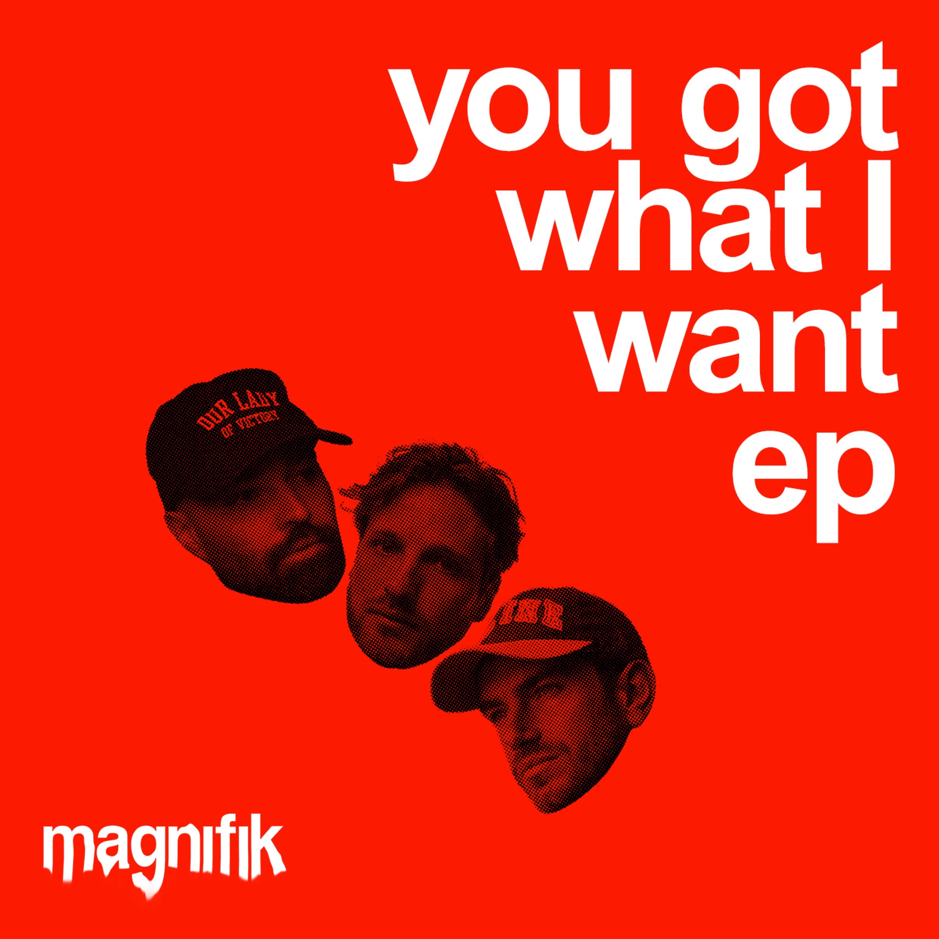 You Got What I Want - Single