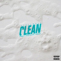 Clean (feat. Minkah) - Single - SpaceWave, Robin T & Steve Kuling