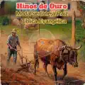 O Lenço de Paulo que Curava em Nome de Jesus (sertanejo evangélico)