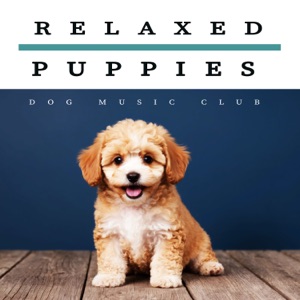 Relaxed Puppies