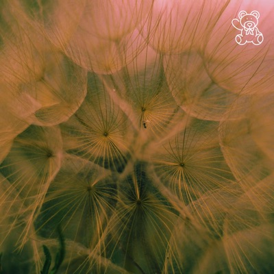 Oasis (feat. Wilse & Wilse Inspired) - Single