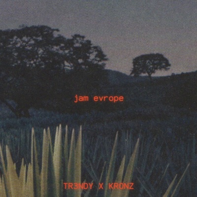Jam Evrope (feat. Ilir Shaqiri) [REMIX] - Single