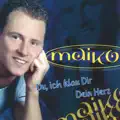 Du, Ich Klau' Dir Dein Herz (Disko Maximix)