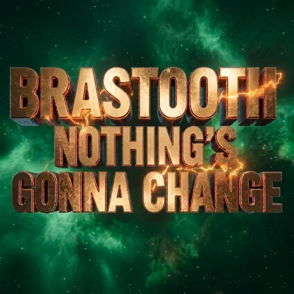 置物 Nothing's Gonna Change Nothing's Gonna Change (VincebyVince Remix) - Brasstooth: Song