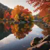 Sycamore Lane - Ode To Autumn Lake