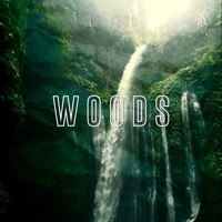 Woods - Single - Horizon