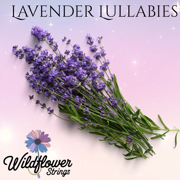 Lavender Lullabies - EP