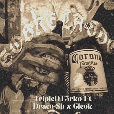 Sobre La Idea (feat. Draco Sb & Gleok) - Single