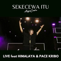 Sekecewa Itu (Live) - Single - Angga Candra & Pace Kribo