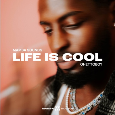 Life is Cool - Single