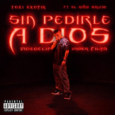 SIN PEDIRLE A DIOS (feat. El Niño Brujo) - Single