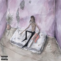 PALE FEVER - Sk8star