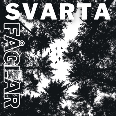 Svarta fåglar (feat. Melker Alexanderson) - Single