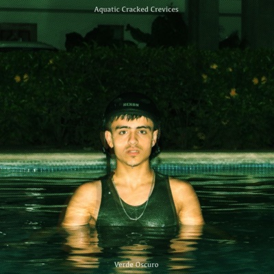 Aquatic Cracked Crevices - Single