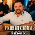 Pınara Gel Ki Görem
