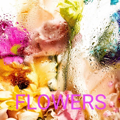 Flowers (Intro) - Single