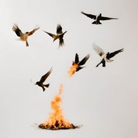 Paraíso em Chamas - Single - Ca$hline