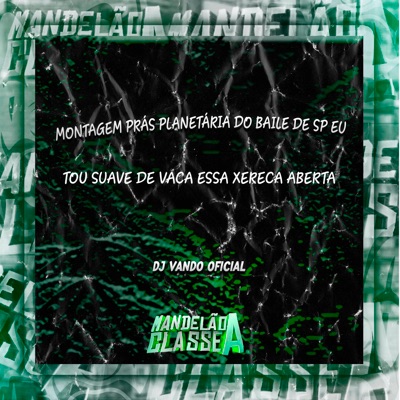 Montagem Prás Planetária do Baile de Sp Eu Tou Suave de Vaca Essa Xereca Aberta - Single