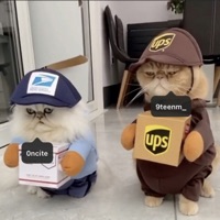 thirty (feat. 19m) - Single - Oncite