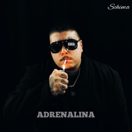 ROUTINE Schima