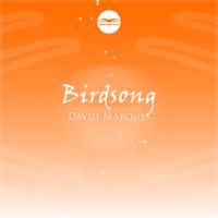 Birdsong - Single - David Marques