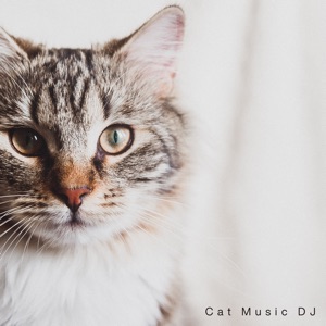 Soothing Meows