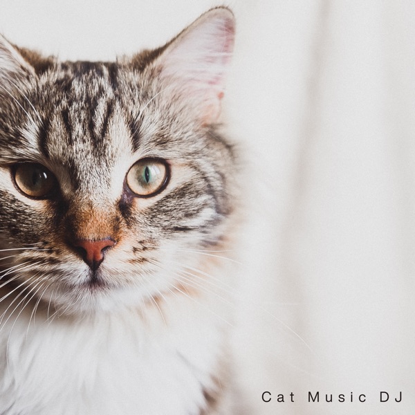 Soothing Meows