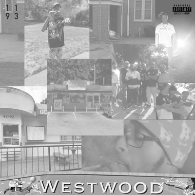 Never Gone Quit - Single