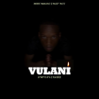 Vulani (feat. Kaotic Kayy, LesMusiq & BlaqDot) - Single