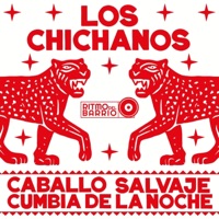 Cumbia De La Noche