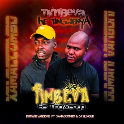 Timbeva(Tingwenya) (feat. XamaCcombo & DJ Slikour) - Single