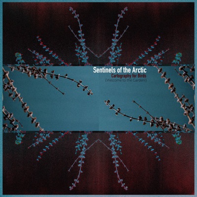 Cartography for Birds (Welcome to the Garden!) - EP