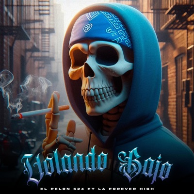 Volando Bajo (feat. GusFH & Rwken) - Single