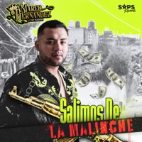 Salimos de la Malinche - Single - Marco Fernández y su Plebada