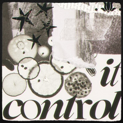 Control It (feat. Ten Zena) - Single