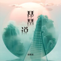 琵琶说 - Single - 张雅淇