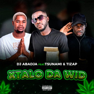 Xtalo da Wid (feat. Tsunami) [Remix] - Single