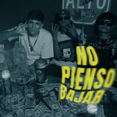 No Pienso Bajar - Single