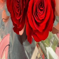 HEY - Single - Young Rog