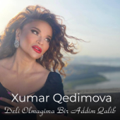 Deli Olmagima Bir Addim Qalib song art