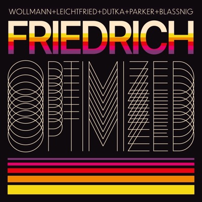 Optimized (feat. Jörg Leichtfried & Georg Wollmann) - Single